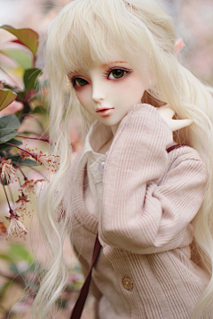 星光的倩影采集到BJD