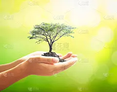 World environment day concept