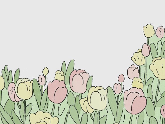 郁金香插画 ipad壁纸