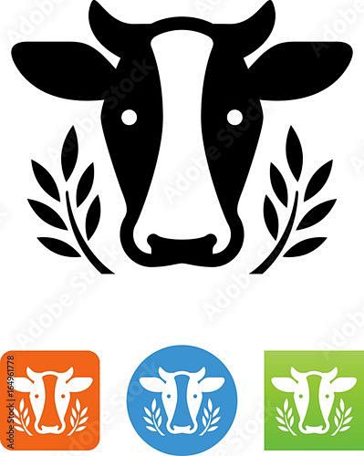 Dairy Cow Head With ...