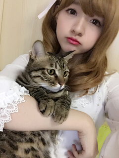 野子xx采集到coser