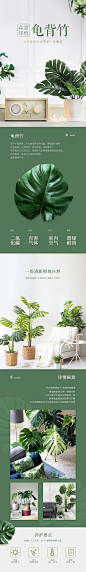 绿植详情页