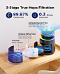 MSB5 Air Purifiers for Bedroom, H13 True HEPA Air Purifier for Home Room Office, 20dB Quiet Air Cleaner with Sleep Mode Colorful Night Light for Pets Dander, Smoke, Dust, Mold, Hair Smell, Allergies : Amazon.ca: Home