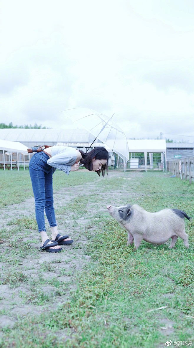 郭晓婷 Xiaoting Guo 图片