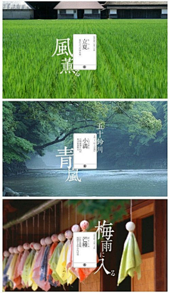 夜曲西凉采集到平面设计