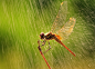 Life isn't about waiting for the storm to pass, it's about learning to dance in the rain.~~~生活不是等著暴風雨過去，而是學會在風雨中跳舞。