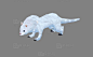 雪貂3d模型 黄鼠狼 雪地动物 - 动物模型 蛮蜗网