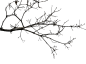 树干树枝 绿色植物 树 png免抠透明素材 枯树