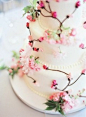 Cherry blossom cake