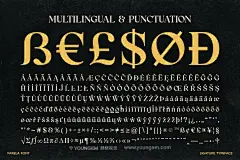 Farela复古经典优雅奢华连笔字品牌logo广告海报标题衬线英文字体下载_颜格视觉