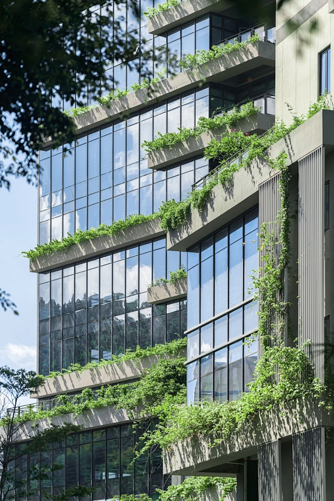 碧桂园凤凰智谷，深圳 / UV独特视野建筑设计有限公司 : 可以呼吸的绿色园区-花瓣网