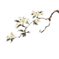 【aki明酱-免费可商用素材】发个昨天画完的素… - 半次元 - ACG爱好者社区