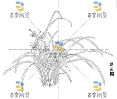 K24064-兰04.jpg