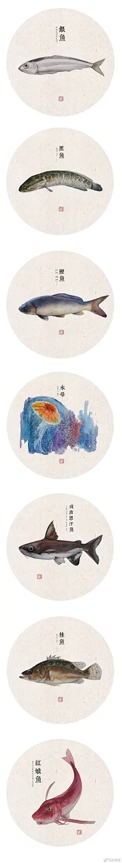 动物昆虫绘 - 高清图片，堆糖，美图壁纸兴趣社区