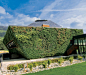 创意景观垂直绿化设计图集丨绿墙面坡面绿化/立体绿化设计
