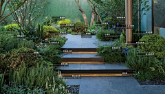 Chloe97采集到景观--植物