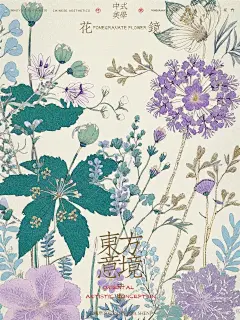 花镜｜夏日繁花 - 小红书