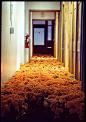 (56) Pinterest