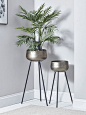 Two Brushed Gold Standing Planters - Indoor Plant Pots & Planters - Decorative Home Accessories - Luxury Homeware