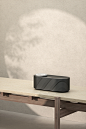 Dieter Rams electric furniture home metal minimal speaker wood