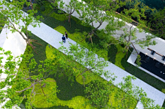 自横采集到大区入口对景