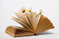 Michael Goyberg在 500px 上的照片Leafing through the yellowed pages ...