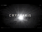 CRYPTAR1S : Cryptaris is a narrative mission comprised of 8 motion graphic interstitials and 7 WebGL games, each testing the user on an array of STEM skills that are required for the U.S. Army’s most unique career opportunities.My roles were Creative Dire