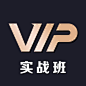 VIP实战班