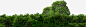 森林树木树丛高清素材 树丛 树木 森林 免抠png 设计图片 免费下载