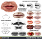 Facial Reference: The Lips by CGCookie