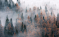 General 2047x1291 forest trees pine trees fall mist mountain view nature