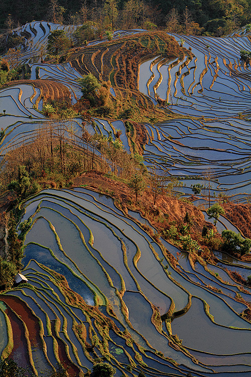 梯田