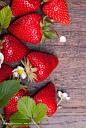 水果草莓生物世界