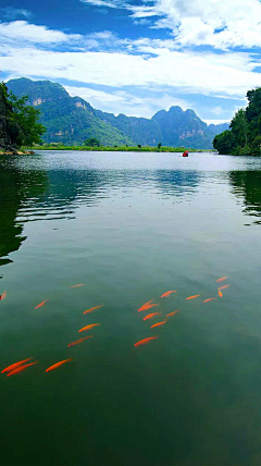 牛屎菩萨采集到风景