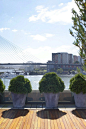 [转载]屋顶花园Rooftop <wbr>Garden <wbr>Glebe