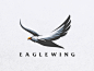 Eagle wing·印度尼西亚插画师：Modal Tampang·icon