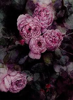 古典花花-小井井_原创水彩,花卉_涂鸦王国插画