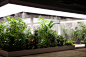 doug aitken asks visitors to destroy domestic objects inside a tropical garden : set within a dark, industrial warehouse, 'the garden' is a living artwork by doug aitken that asks visitors to become the subject of the sculpture.