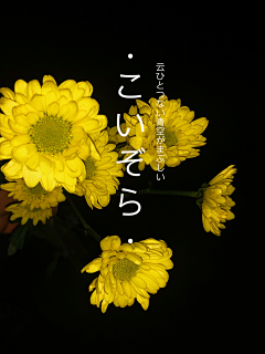 simplelifeee采集到素材