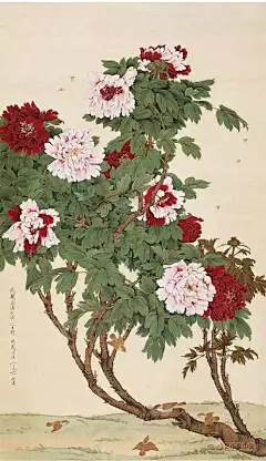 花开富贵，国色天香——历代名家画牡丹
 于非闇《牡丹蜂雀图》国色天香 花鸟画立轴