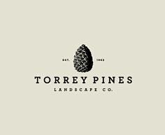 Torrey Pines on Bran...