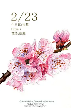 豆芽君的haru酱的微博_微博