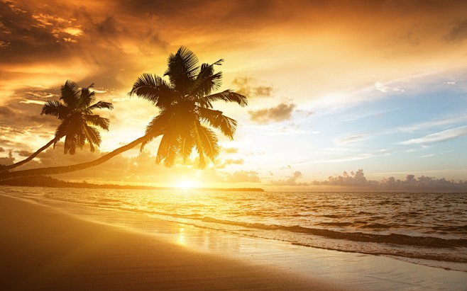 加勒比海沿岸的美麗風光，日出，棕櫚樹，海...