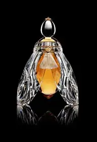 图标 物品 道具