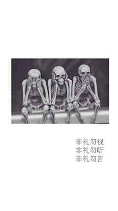 寻觅的燕子采集到美图