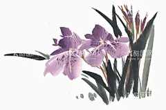 水仙花  - 源文件下载【酷图网】国画百花争艳,国画,百花争艳,花鸟画,花,水墨画,花朵,红花,手绘花朵,手绘花,水墨画花,抽象花,工笔画,月季,牡丹,水墨荷花,