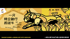 雨果派对设计采集到配色