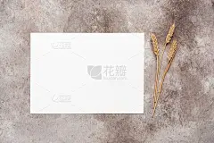 名片模型。空白卡片和成熟小麦的穗子。米色枯燥乏味的背景。极简主义的办公桌面。现代品牌模板。俯视图，平