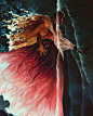 【冲鸭速写RUA超话】

Syd Mills ​​​​