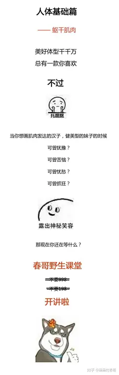 人体躯干肌肉到底怎么画？（比例+穿插关系） : 春哥课堂是我所在的工作室做的条漫绘画教程，为大家的人体绘画学习提供简单的参考。希望大家喜欢哦(≧∇≦)ﾉ本期关键词：比例、穿插关系 更多的原创绘画教程可以关注我的微博：@画画的春哥 微信公众号：动漫手绘…